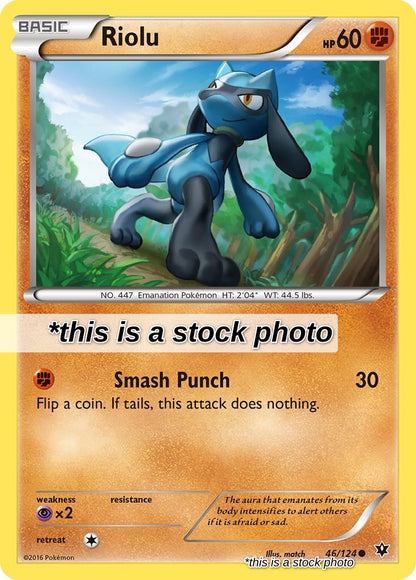 Riolu (46)
