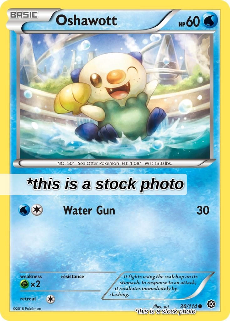 Oshawott