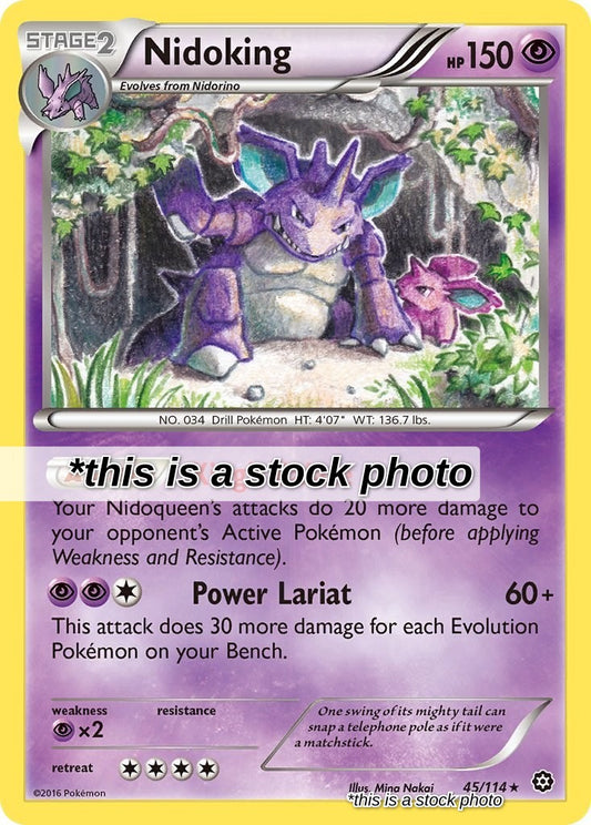 Nidoking