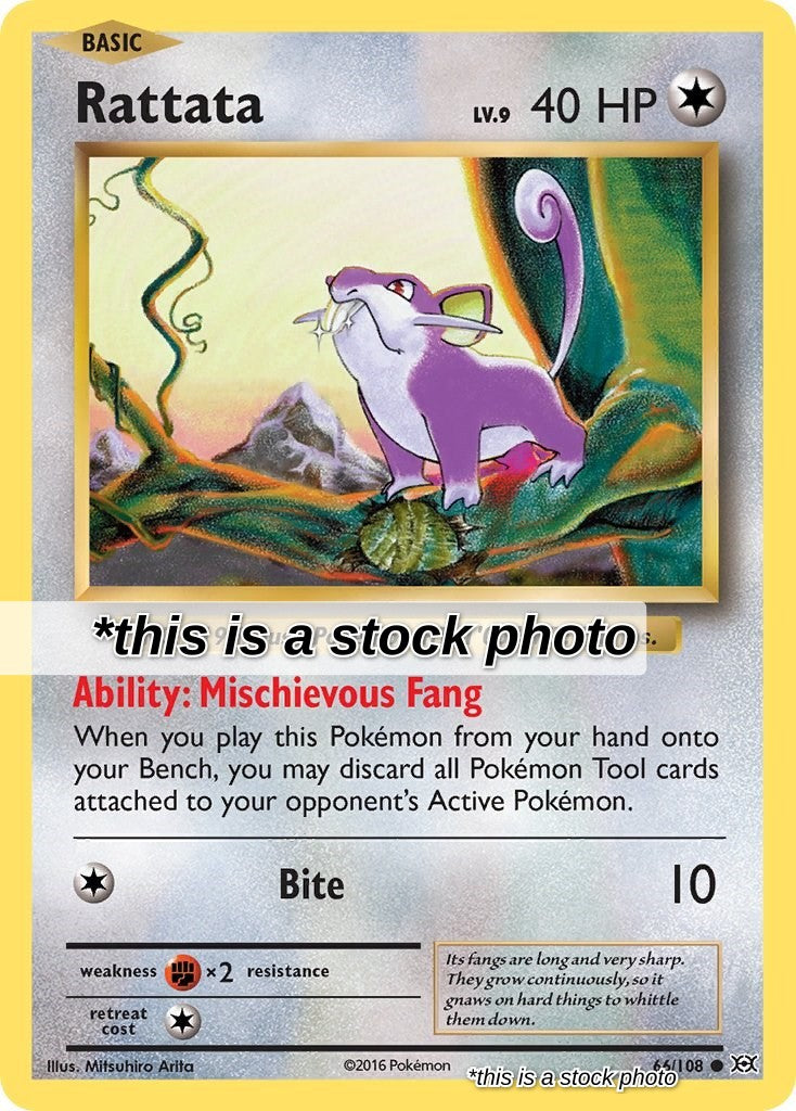 Rattata