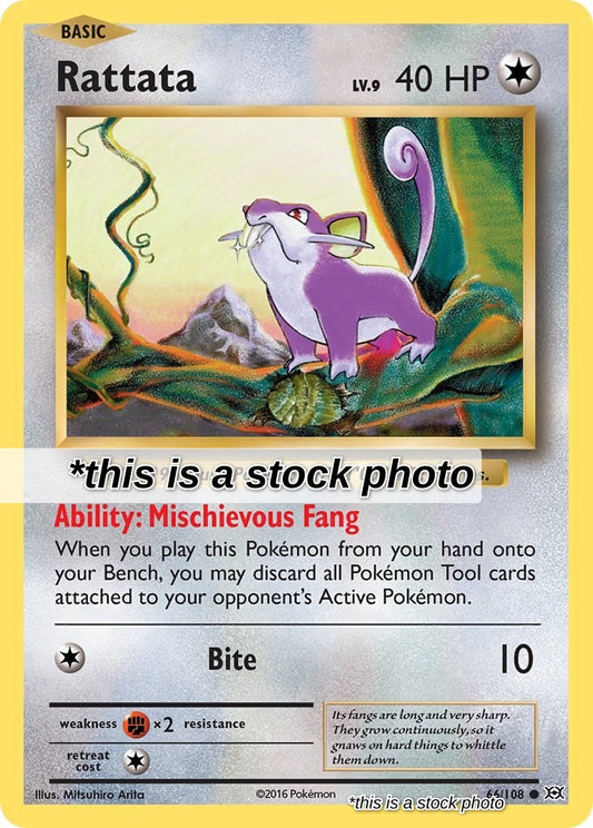 Rattata