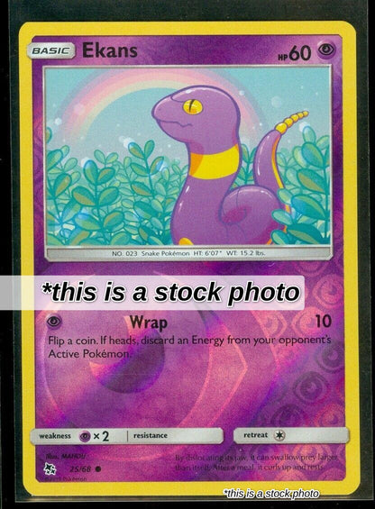 Ekans (25)
