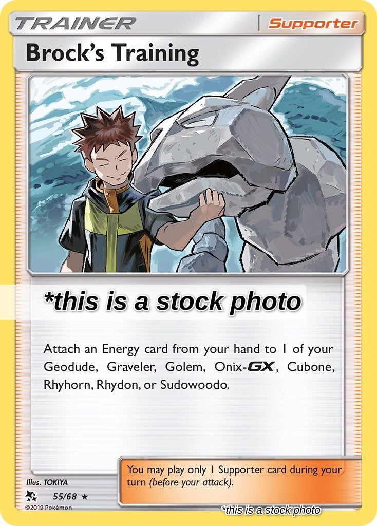 Brock's Training