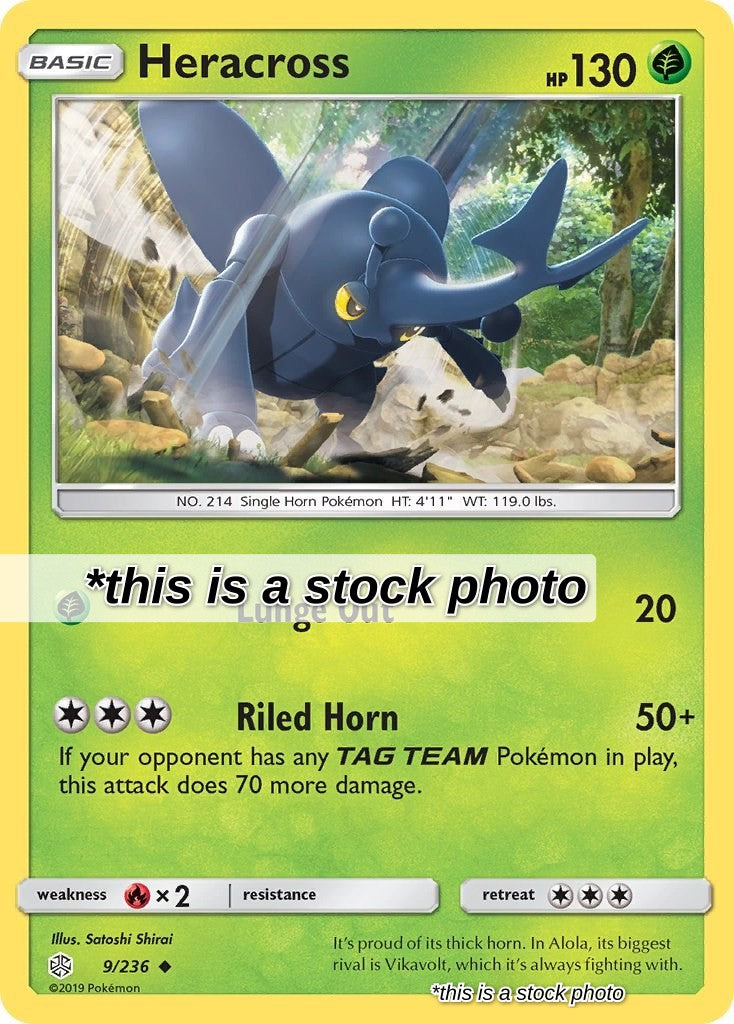 Heracross