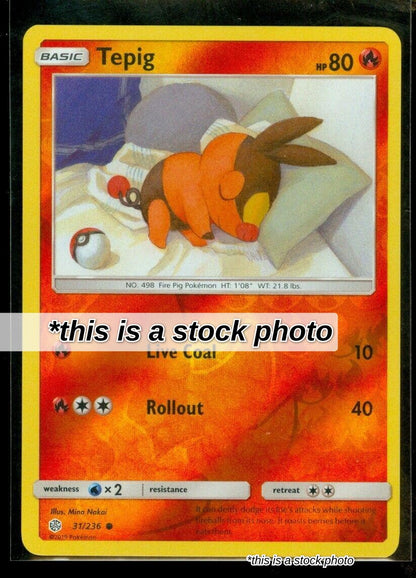 Tepig