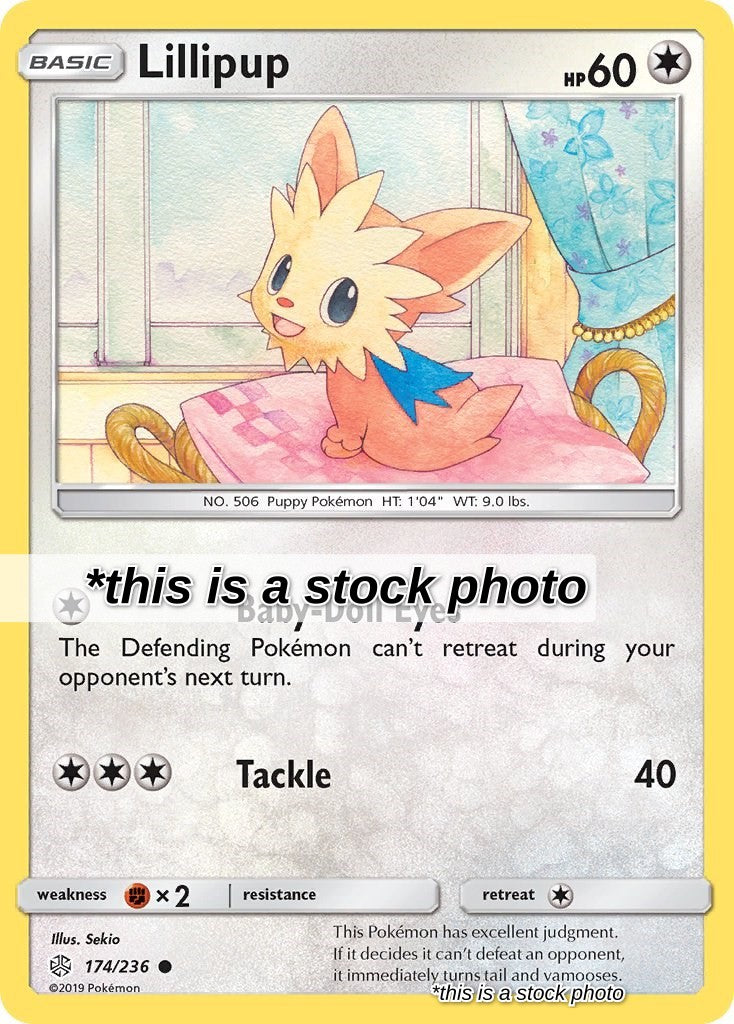 Lillipup