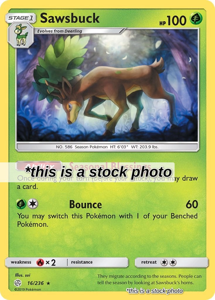 Sawsbuck