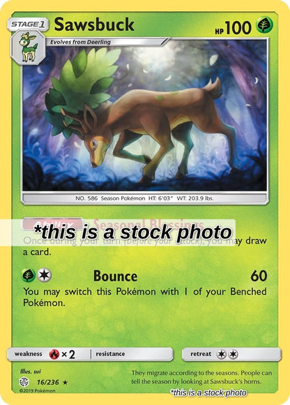 Sawsbuck