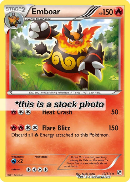 Emboar (19)