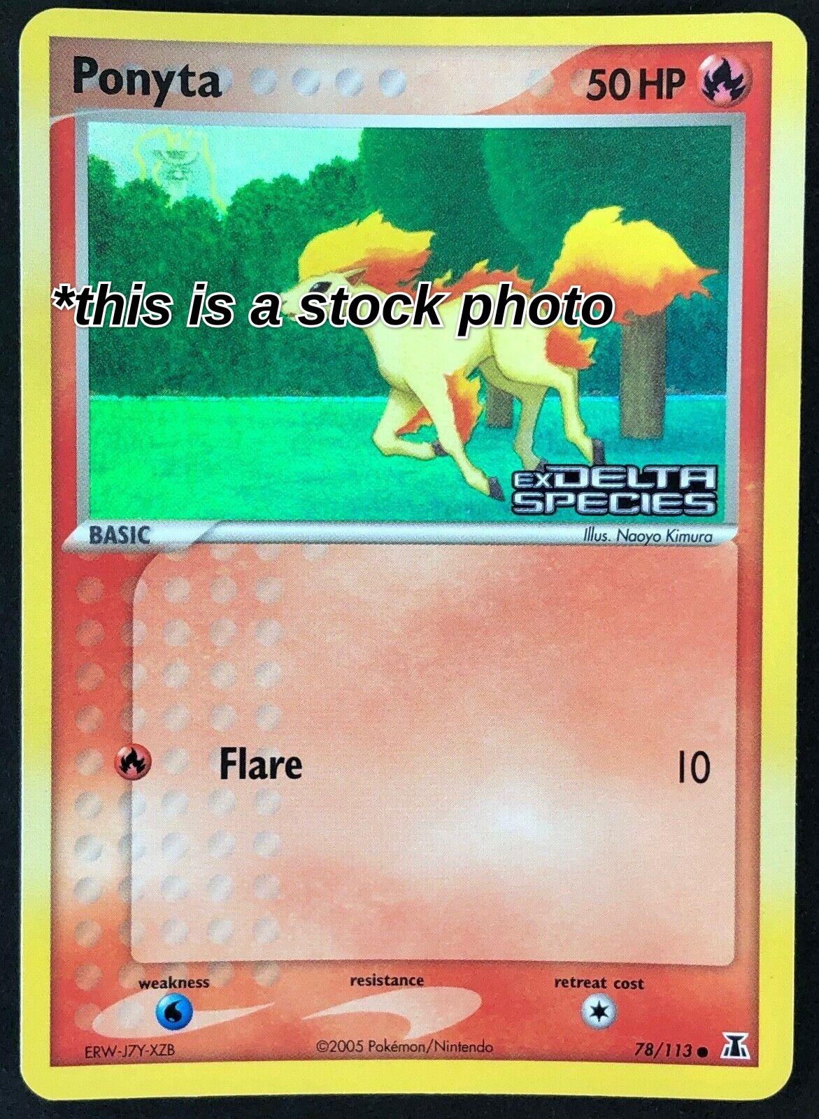 Ponyta
