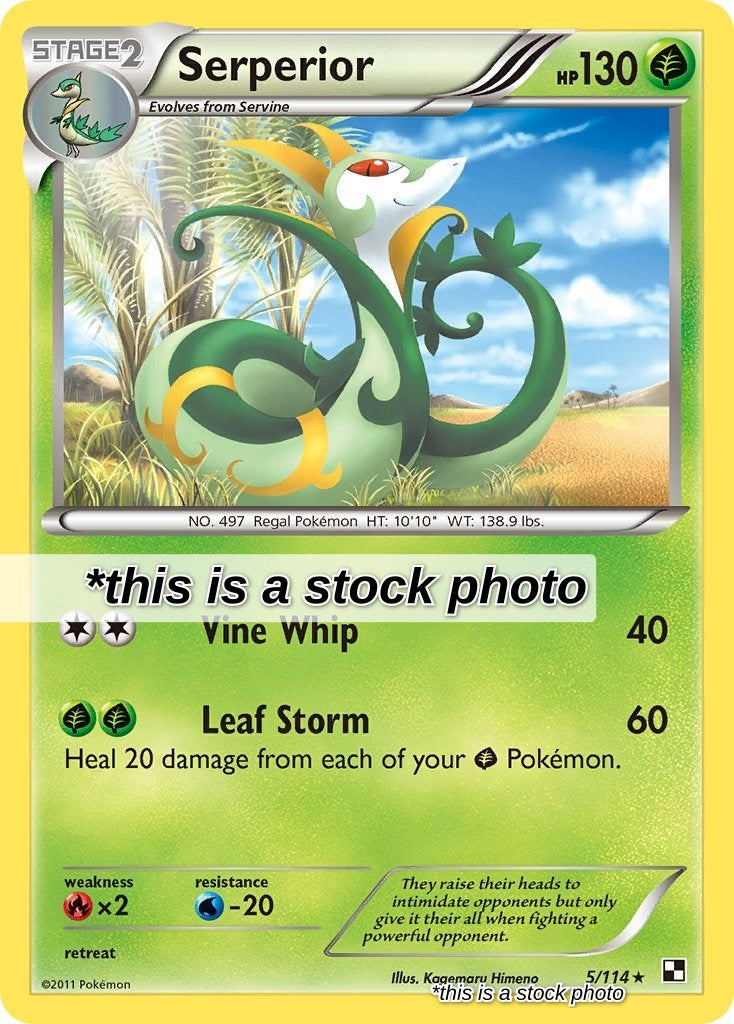 Serperior (5)