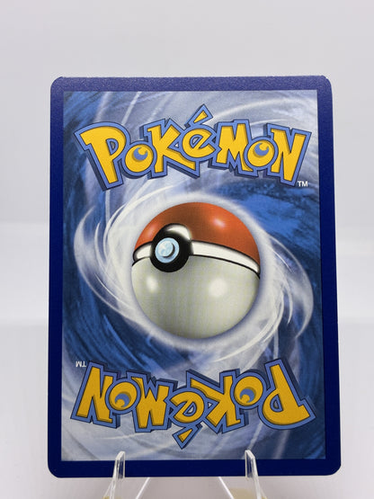 Tepig (Back)