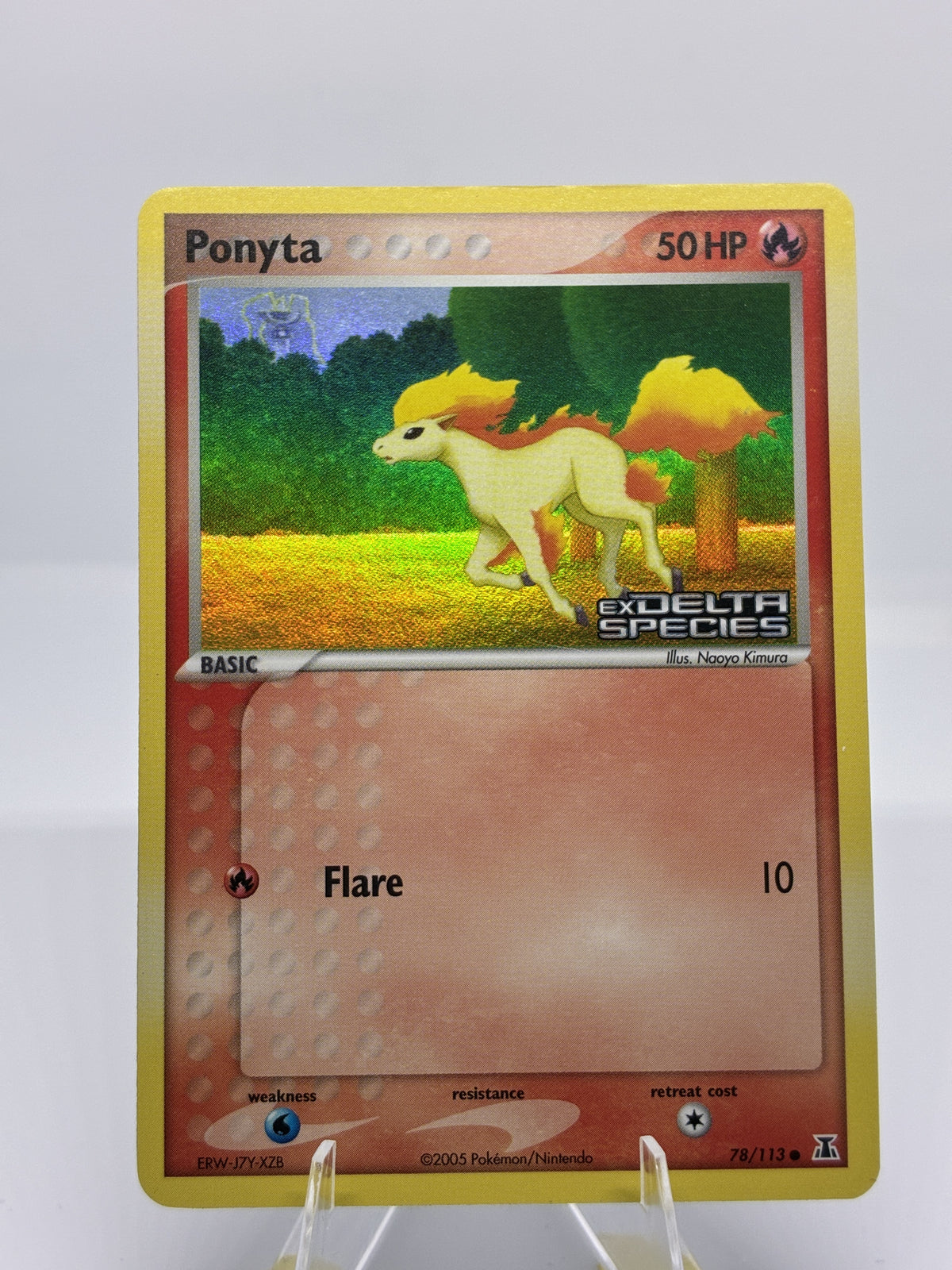 Ponyta