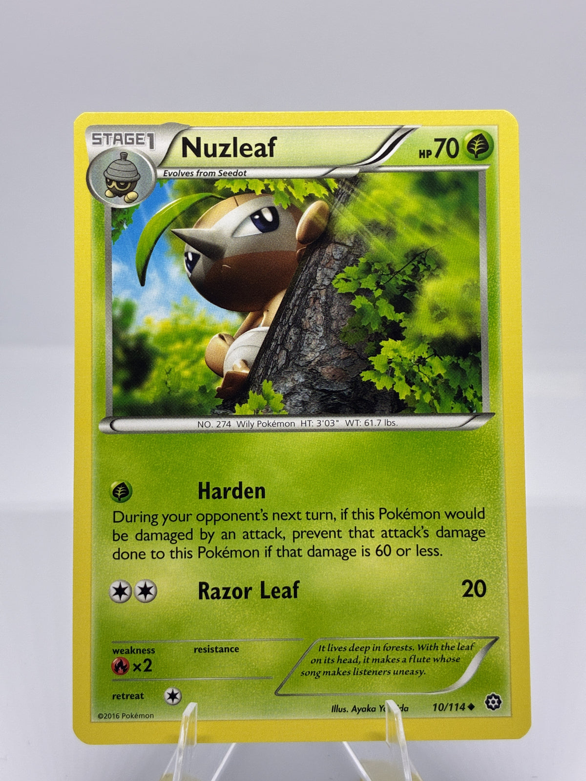 Nuzleaf