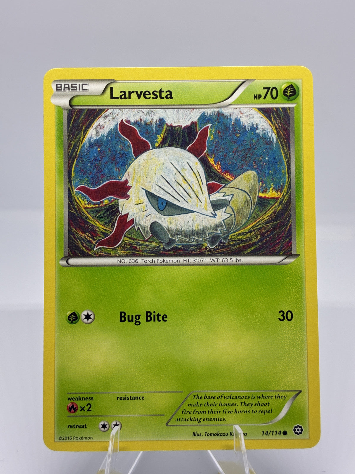 Larvesta