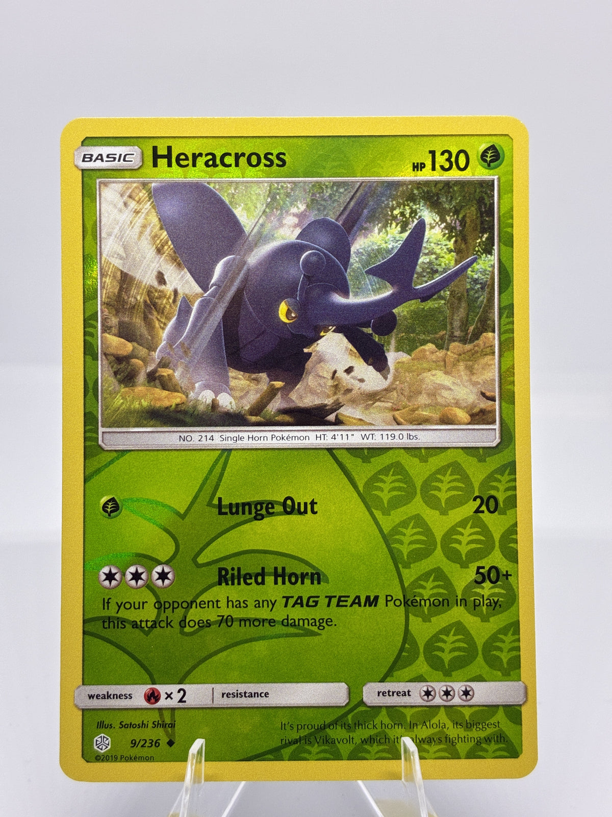 Heracross