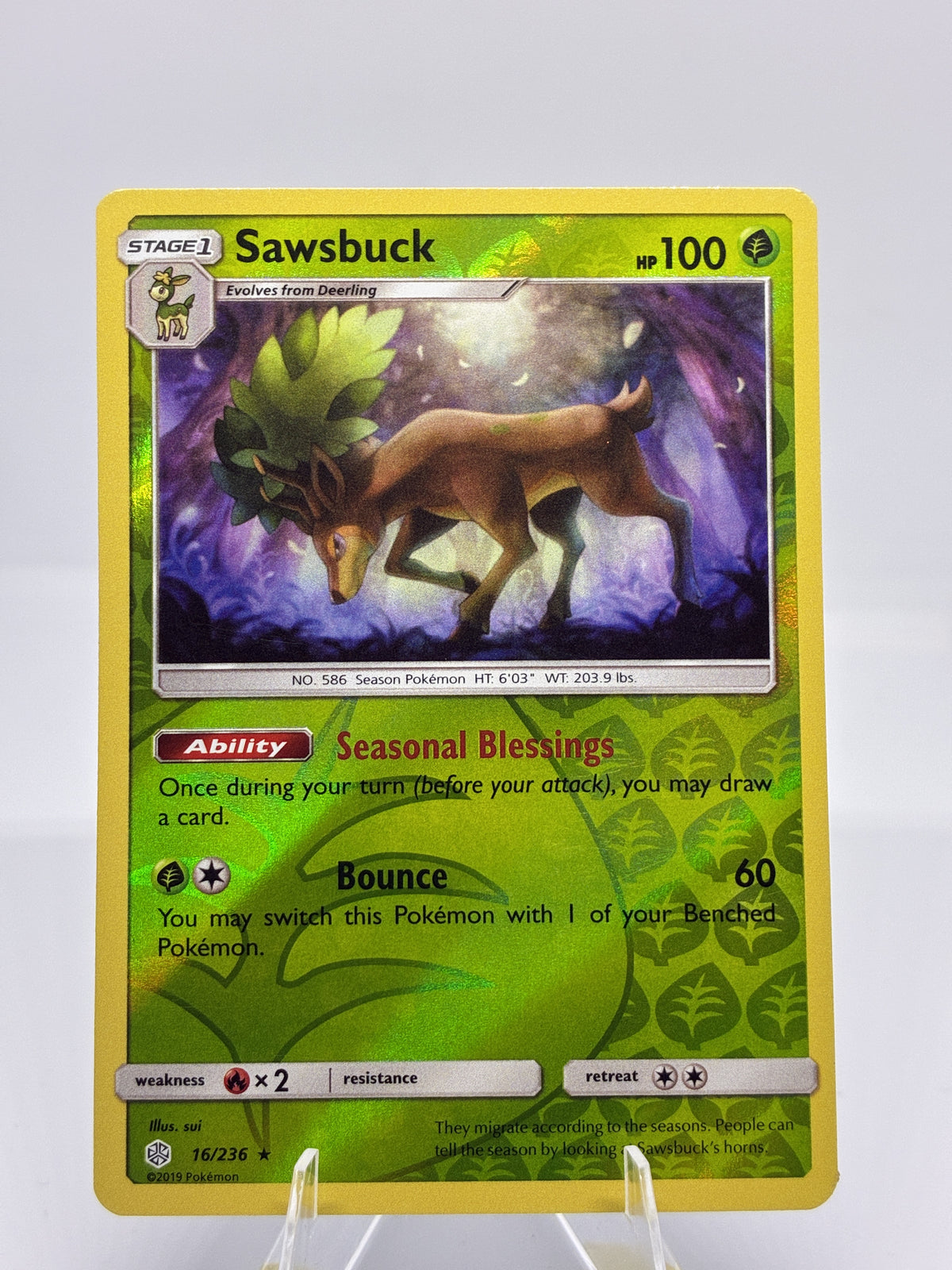 Sawsbuck