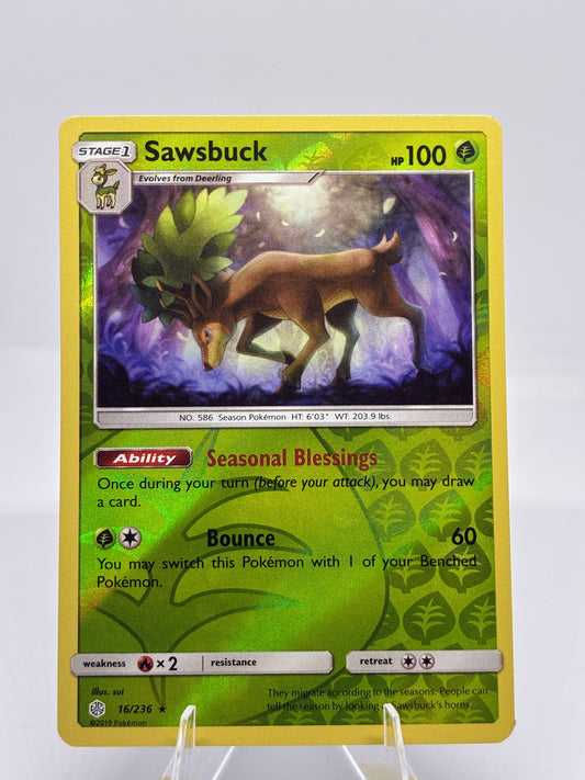 Sawsbuck