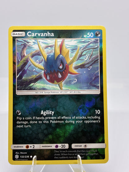 Carvanha