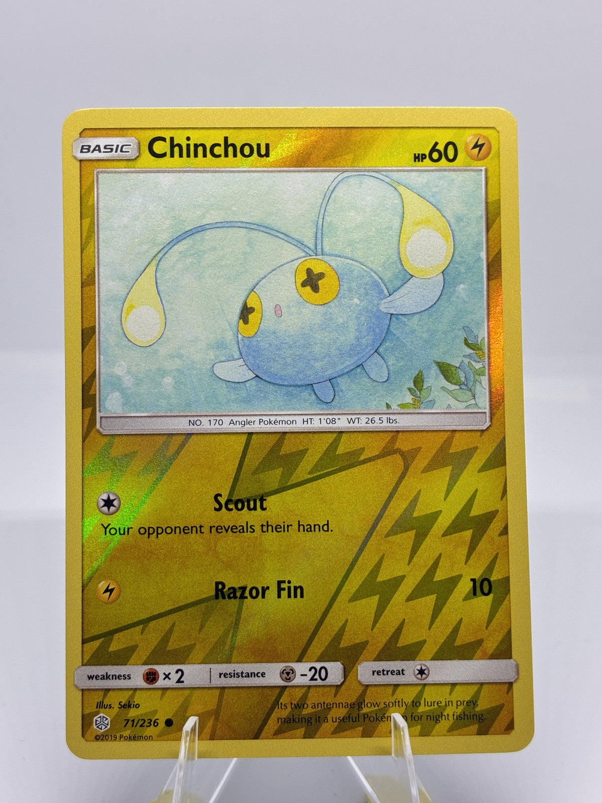 Chinchou
