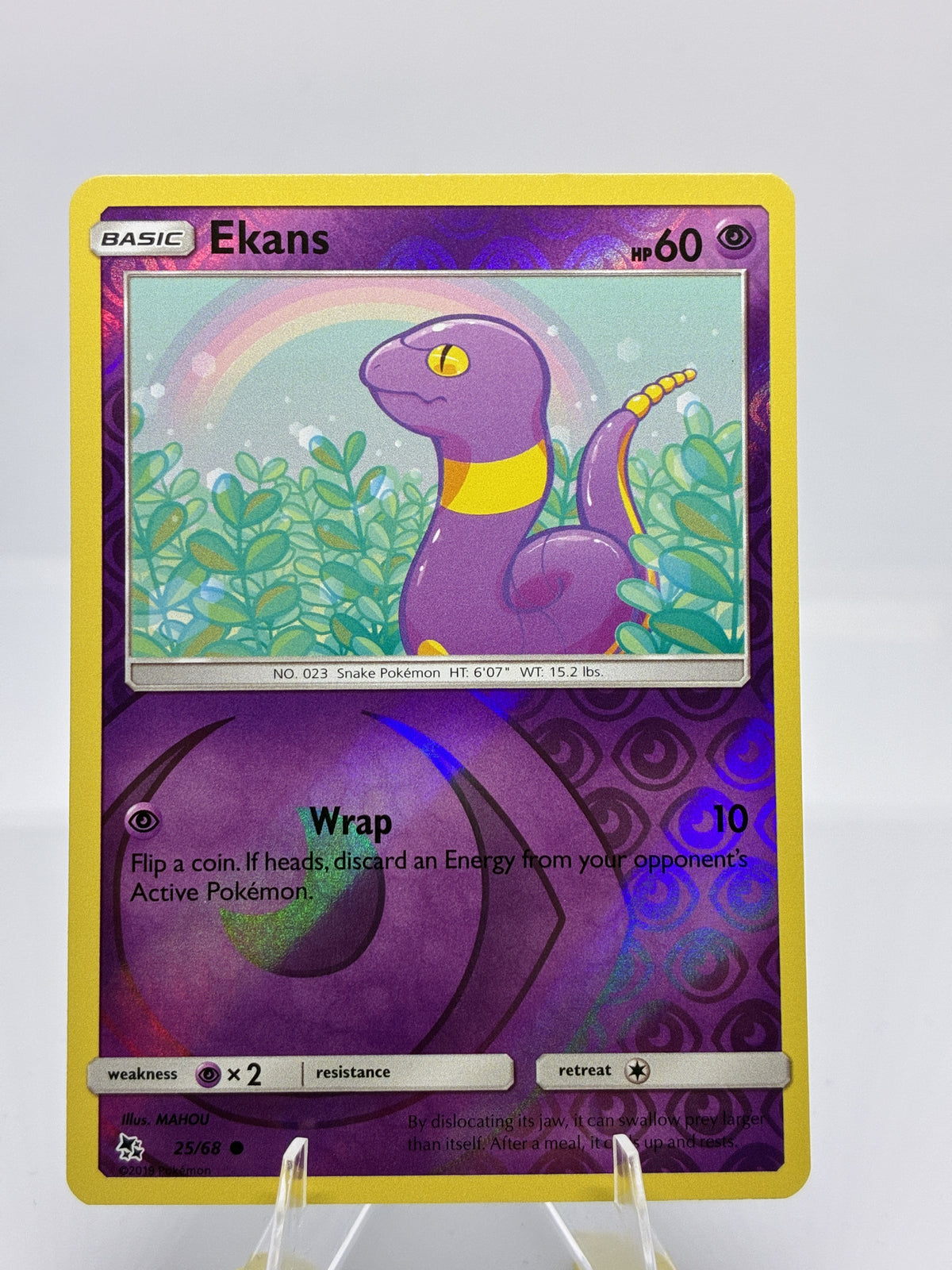 Ekans (25)