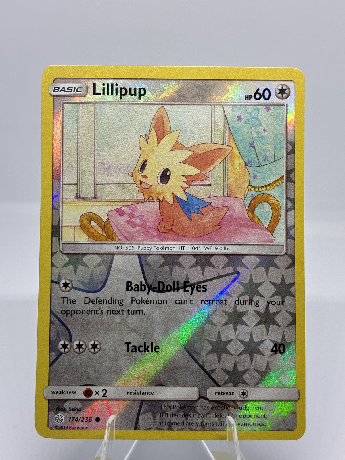 Lillipup